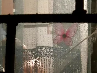 വിദേശ സുന്ദരി ജൂലി കേ കുളിച്ചു